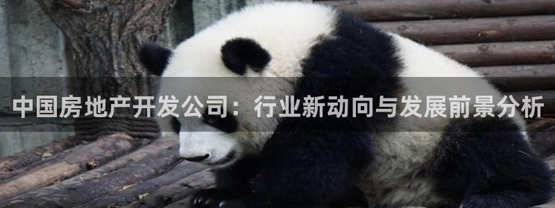 永利皮具lv工厂