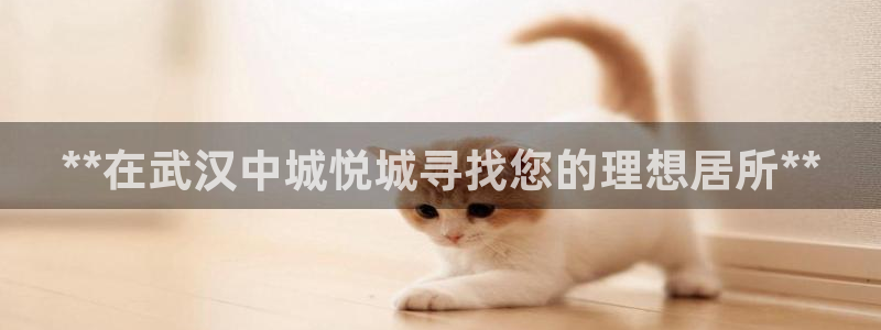 永利是做什么的