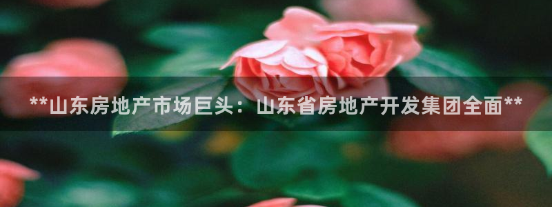 永利pc网址