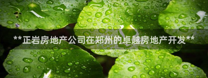 鄂州永利房地产怎么样