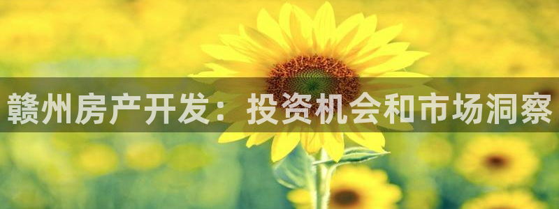 永利有限责任公司
