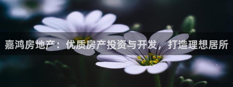 绍兴永利集团董事长
