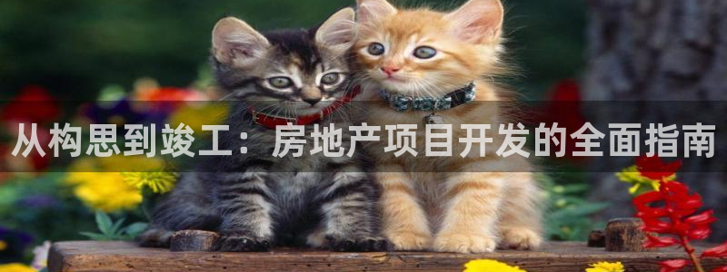 永利制带