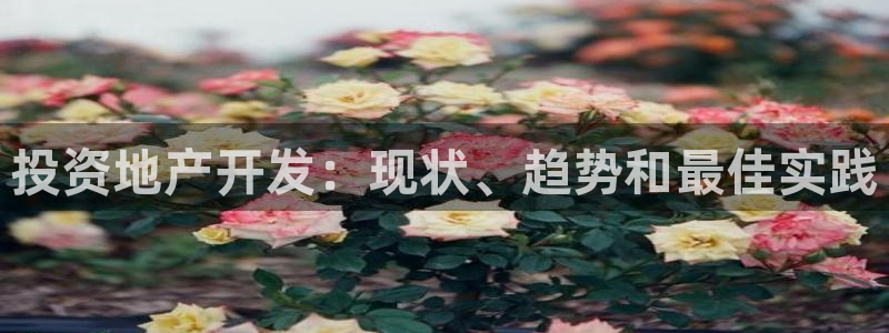 永利会员卡级别及福利