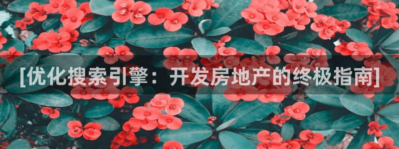 永利输送带