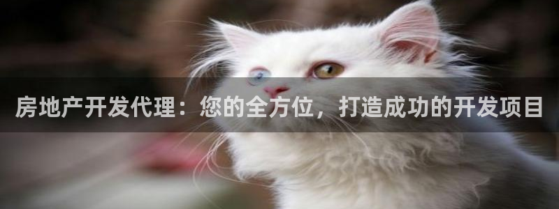 永利百货怎么样