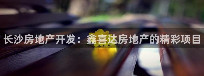 永利官网查询系统