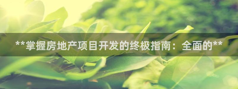 永利运动鞋是几几年出的