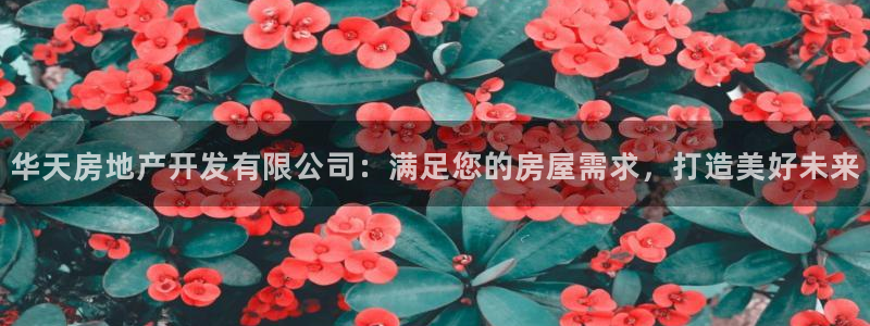 永利皇府黄立青身价