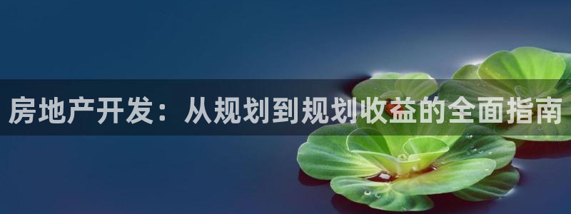 永利背一分