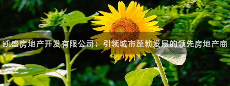 滨州永利集团