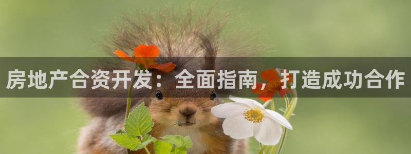 永利皮革有限公司招聘