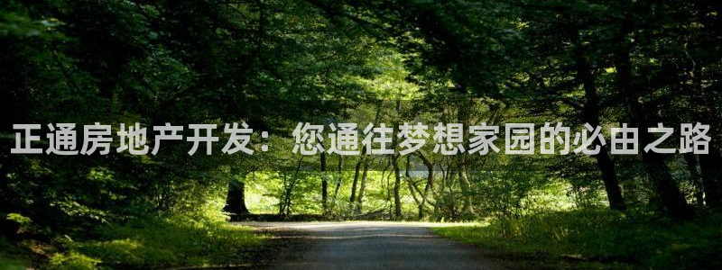 永利bet